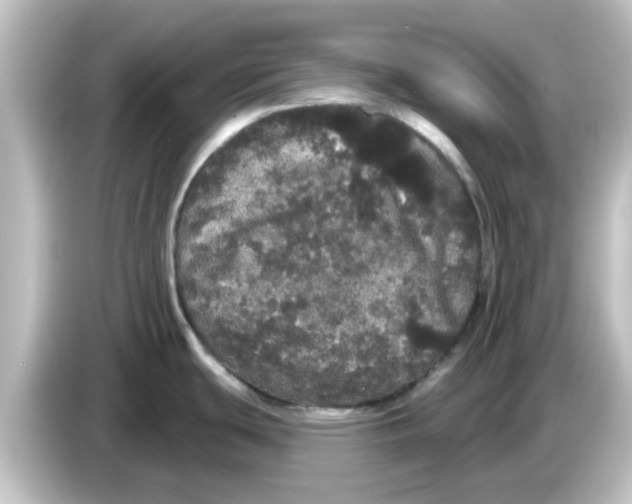 X0000084581439200703161733