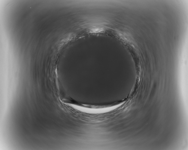 X0000084581441200703161732