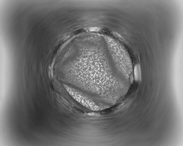 X0000084581443200703161732