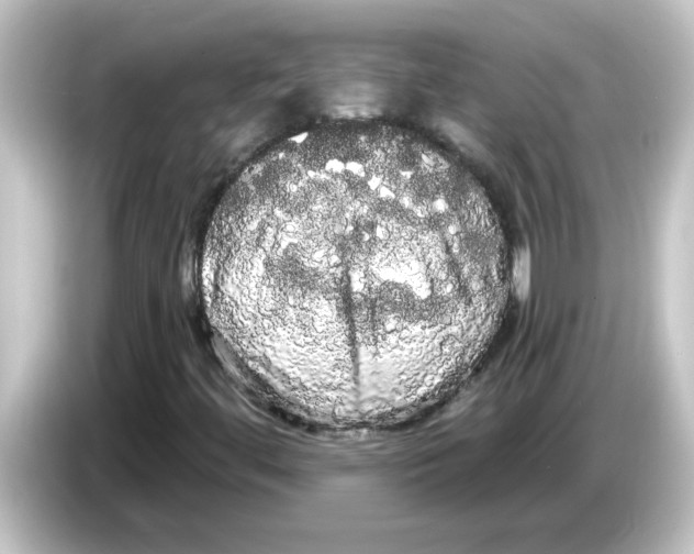 X0000084581444200703161732