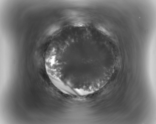 X0000084581446200703161732