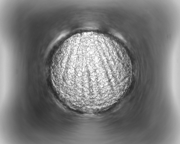 X0000084581448200703161732