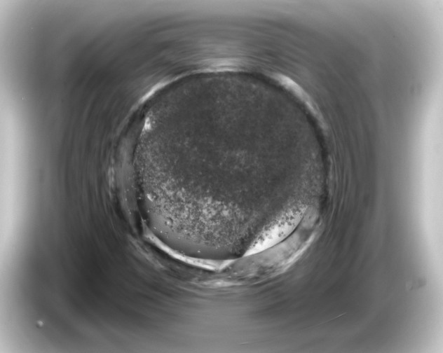 X0000084581449200703161732