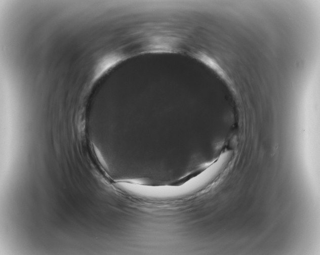X0000084581450200703161732