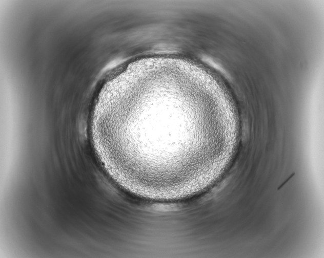 X0000084581451200703161732