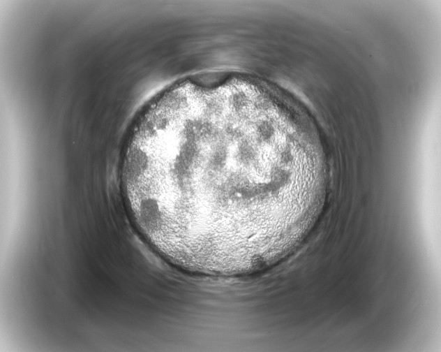 X0000084581452200703161732