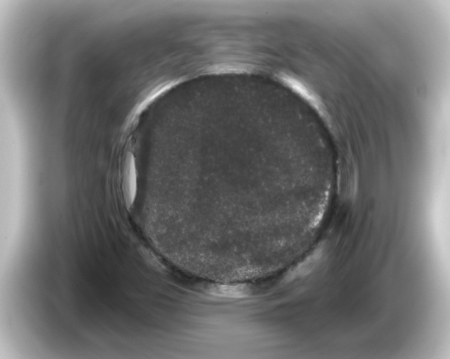 X0000084581453200703161732
