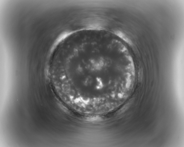X0000084581454200703161732