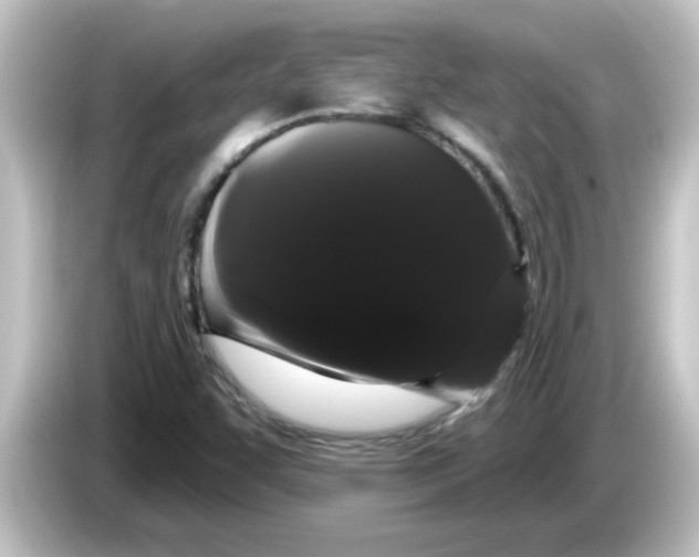 X0000084581455200703161732