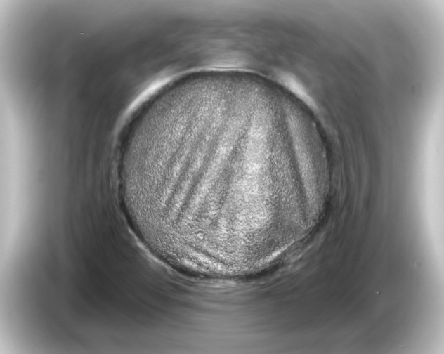 X0000084581456200703161732