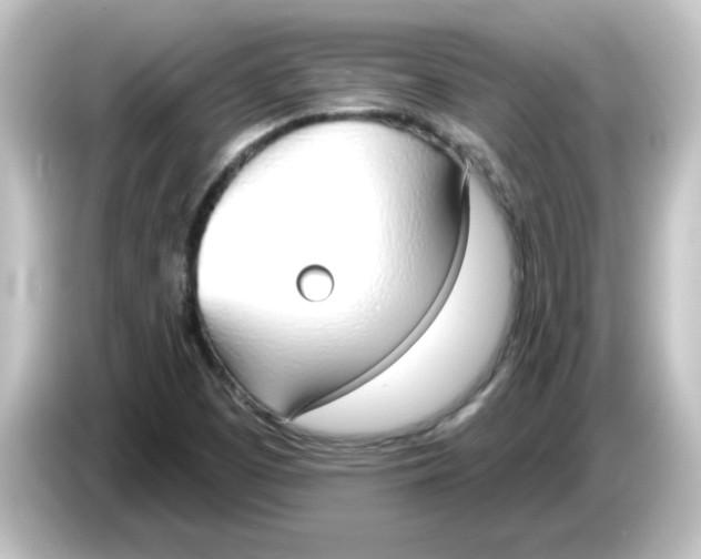 X0000084581457200703161732