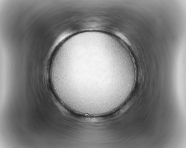 X0000084581458200703161732