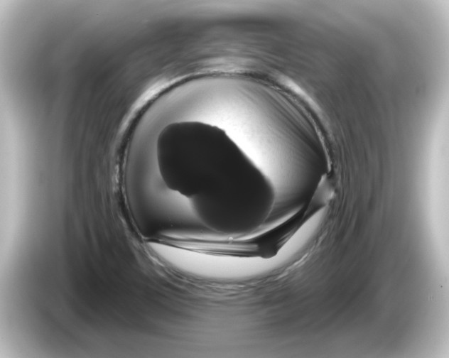 X0000084581459200703161732
