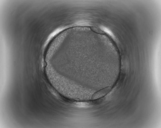 X0000084581461200703161732