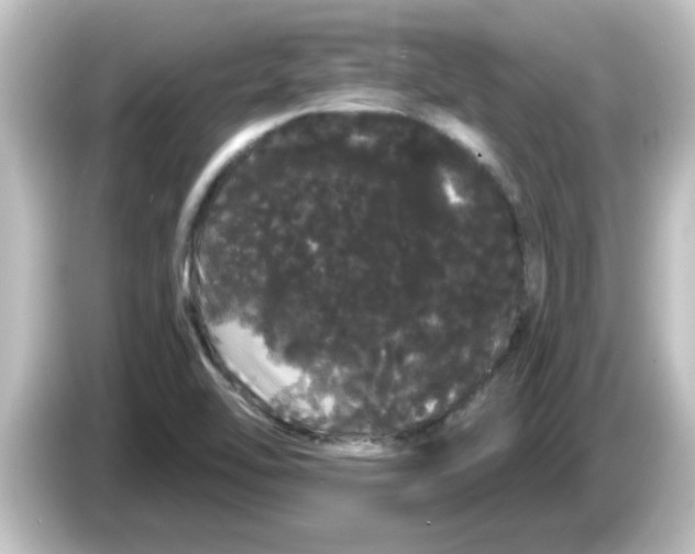 X0000084581462200703161732