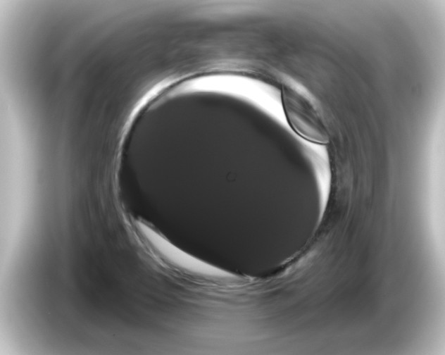 X0000084581463200703161732