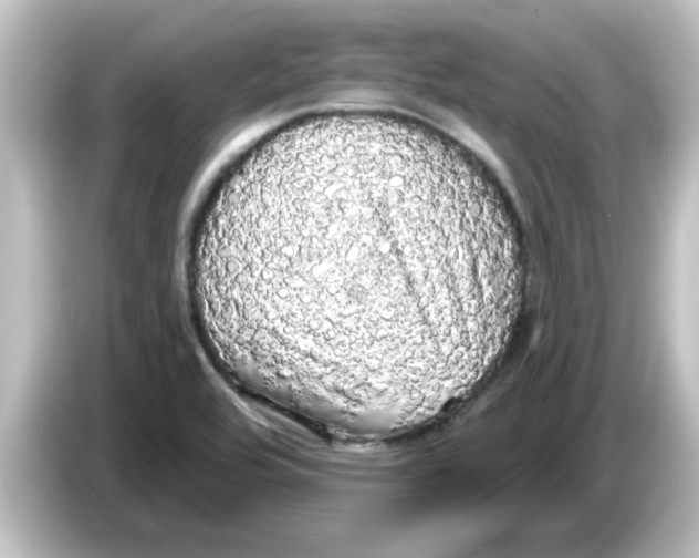 X0000084581464200703161732