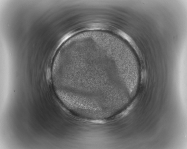 X0000084581465200703161732