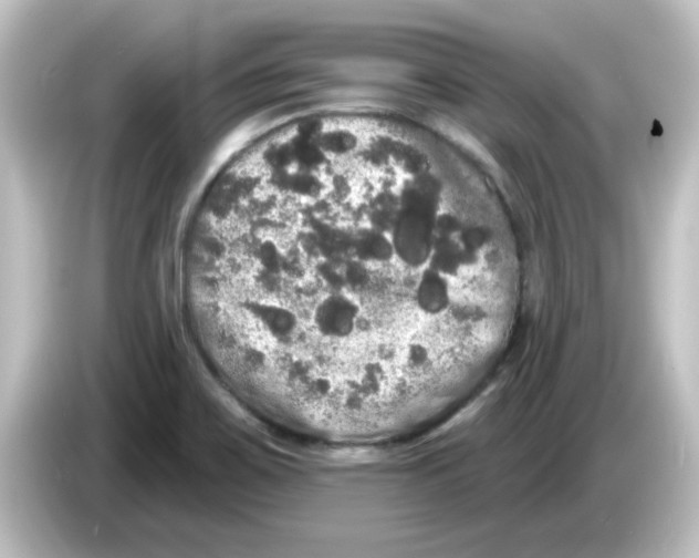 X0000084581467200703161732