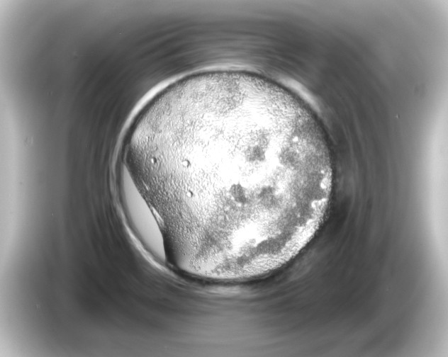 X0000084581468200703161732