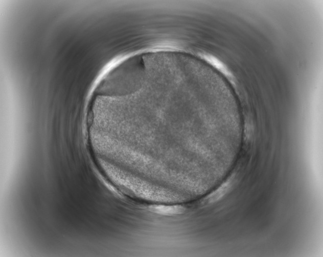 X0000084581469200703161732