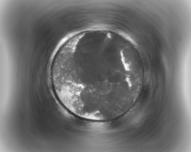 X0000084581470200703161732