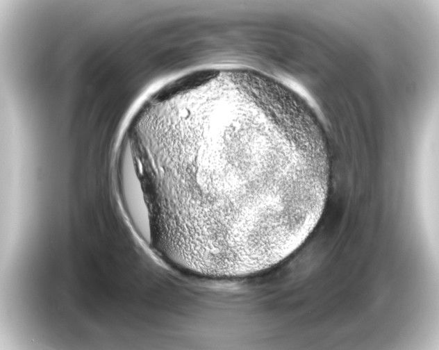 X0000084581472200703161732