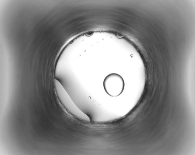 X0000084581473200703161732