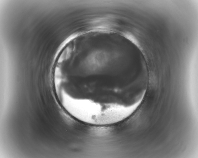 X0000084581474200703161732