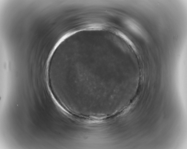 X0000084581475200703161732