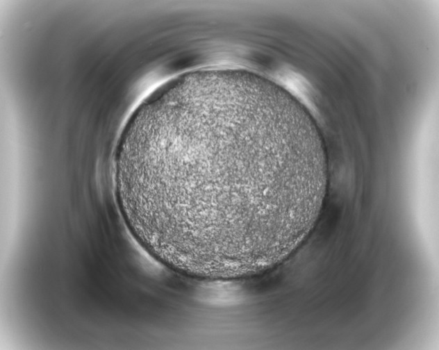 X0000084581476200703161732