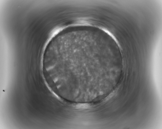 X0000084581477200703161732