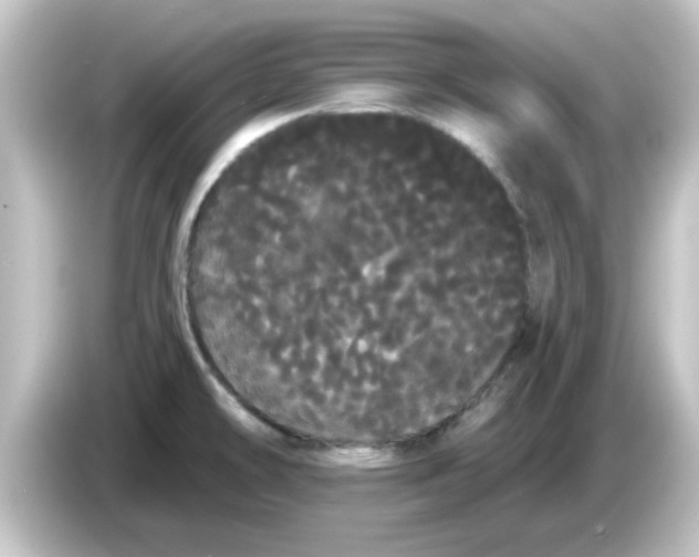 X0000084581478200703161732