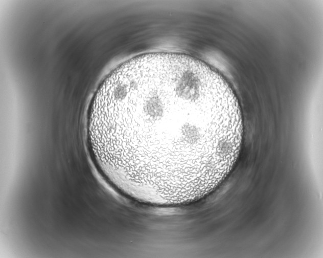 X0000084581479200703161732