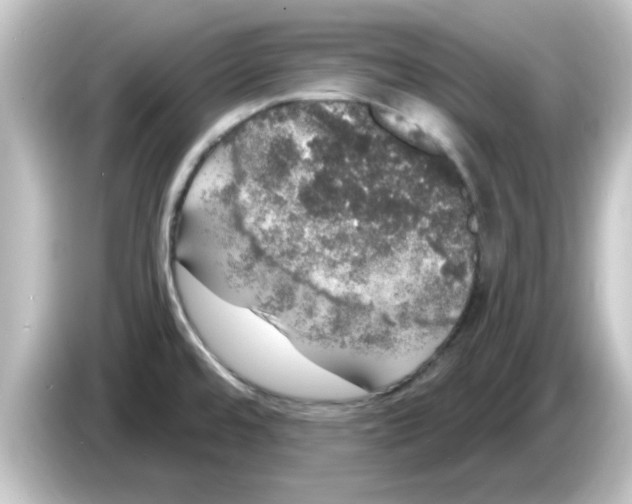 X0000084581480200703161732