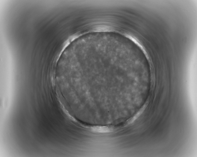 X0000084581481200703161732