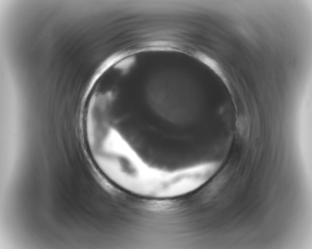 X0000084581482200703161732