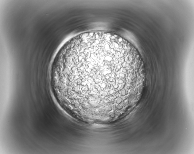 X0000084581483200703161732