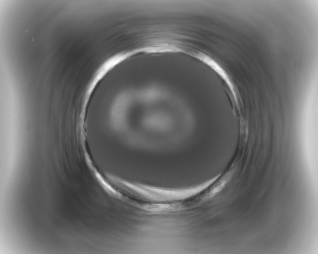 X0000084581485200703161731