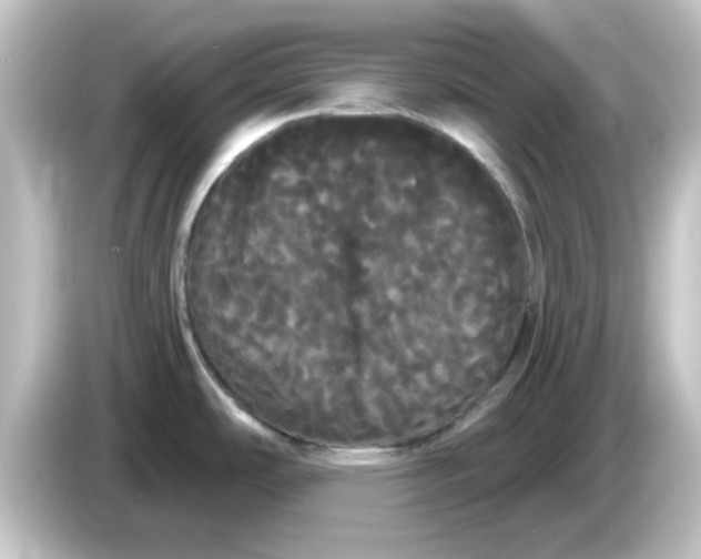 X0000084581486200703161731