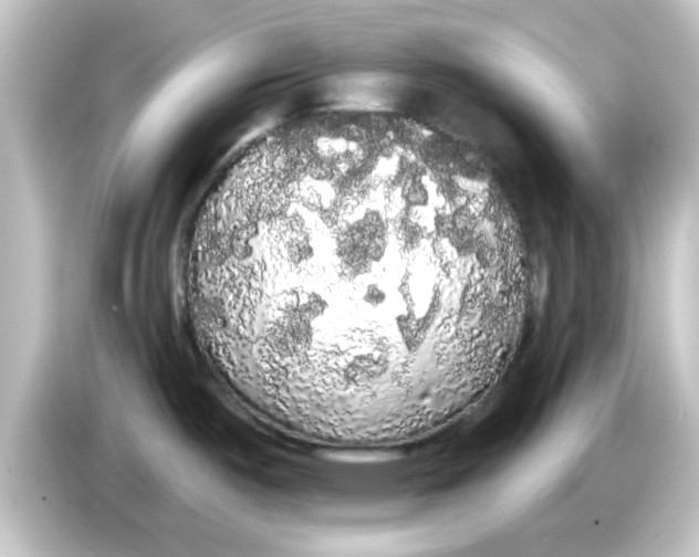 X0000084581487200703161731