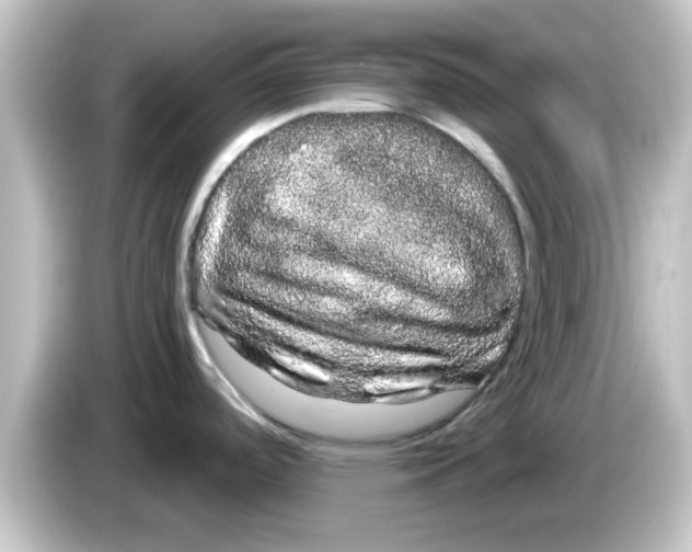 X0000084581488200703161731