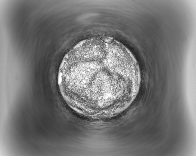 X0000084581489200703161731