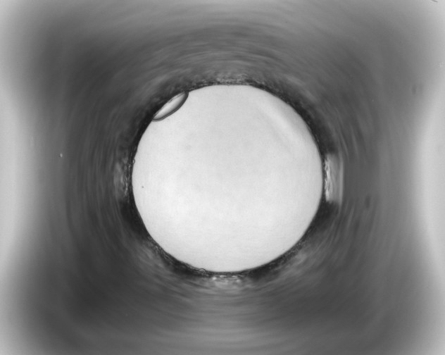 X0000084581491200703161731
