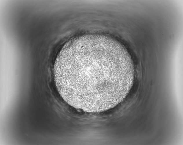 X0000084581493200703161731