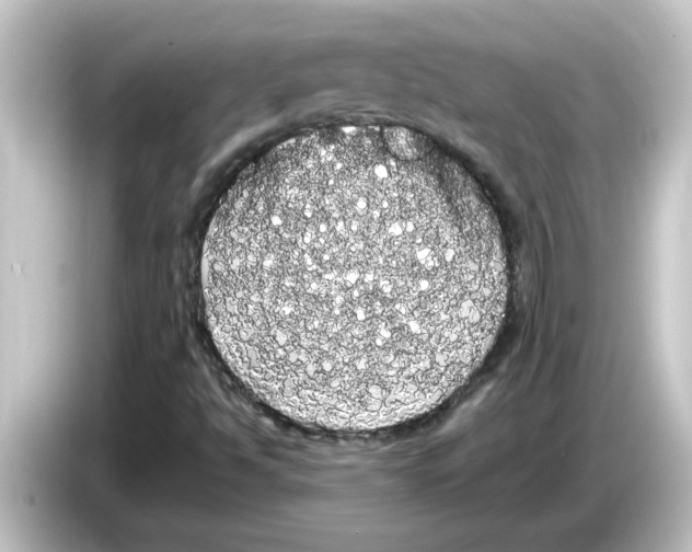 X0000084581494200703161731