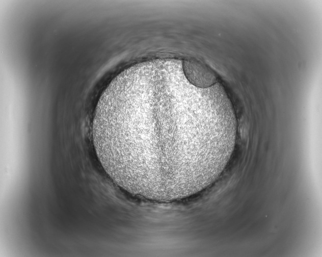 X0000084581495200703161731