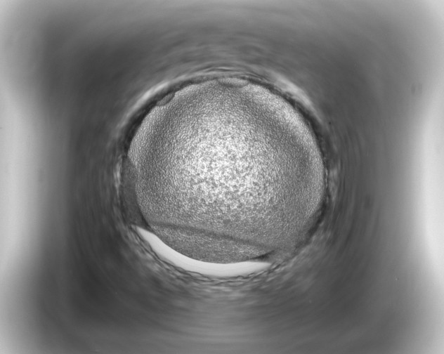 X0000084581496200703161731