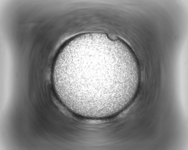 X0000084581499200703161731