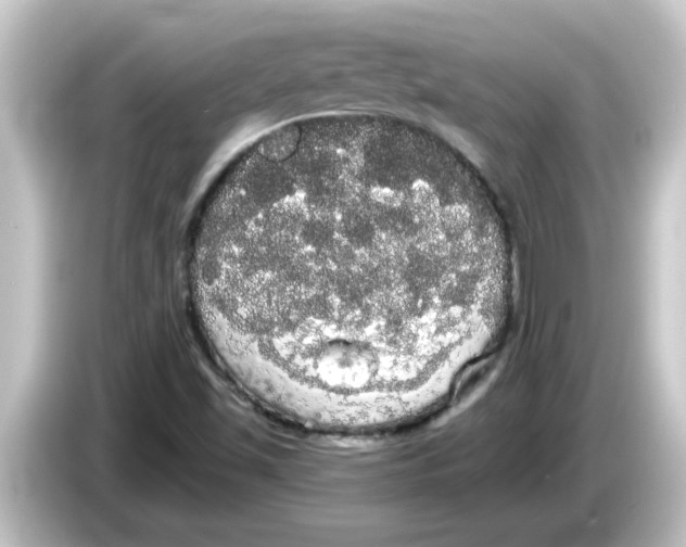X0000084581501200703161731